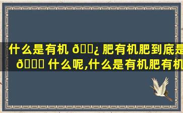 什么是有机 🌿 肥有机肥到底是 🐝 什么呢,什么是有机肥有机肥到底是什么呢